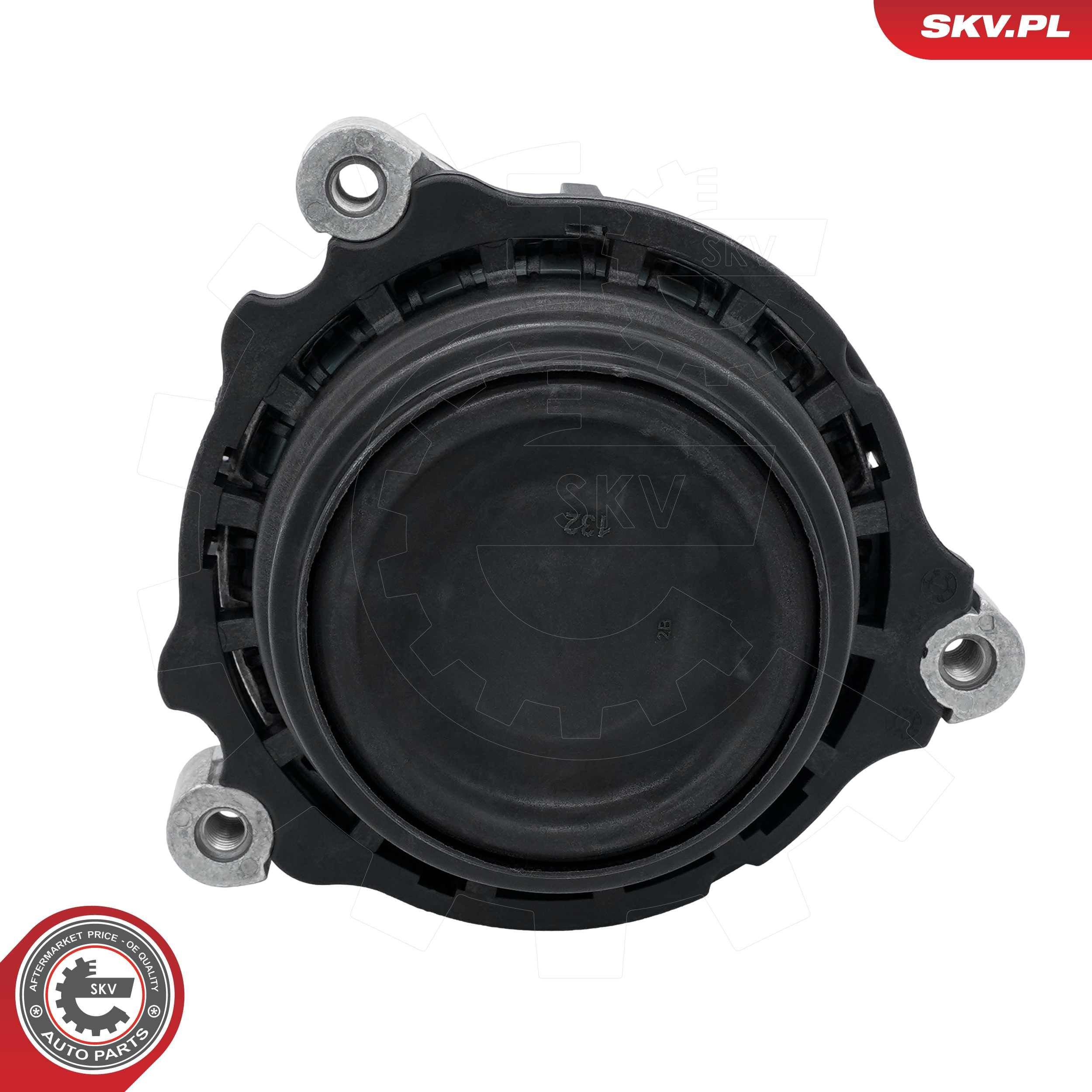 75SKV170 SKV